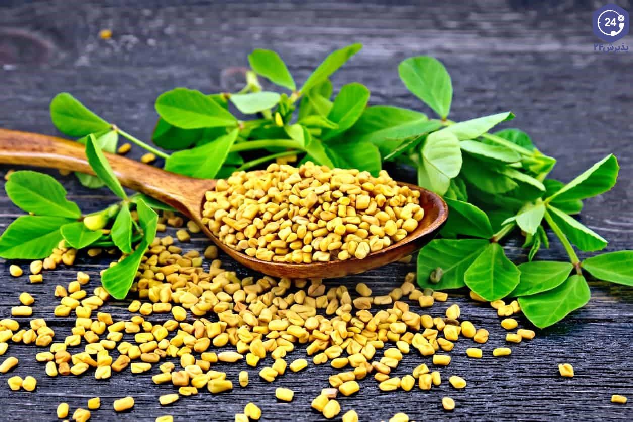 خواص شنبلیله