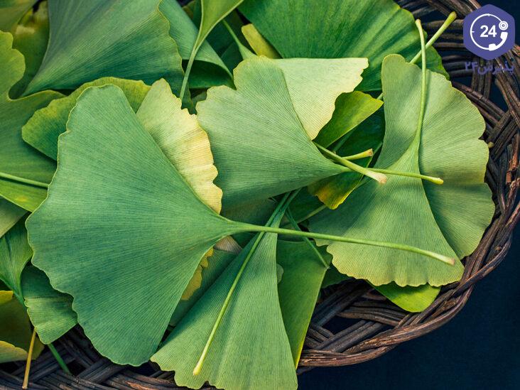 جینکو بالیوبا (Gingko Biloba)