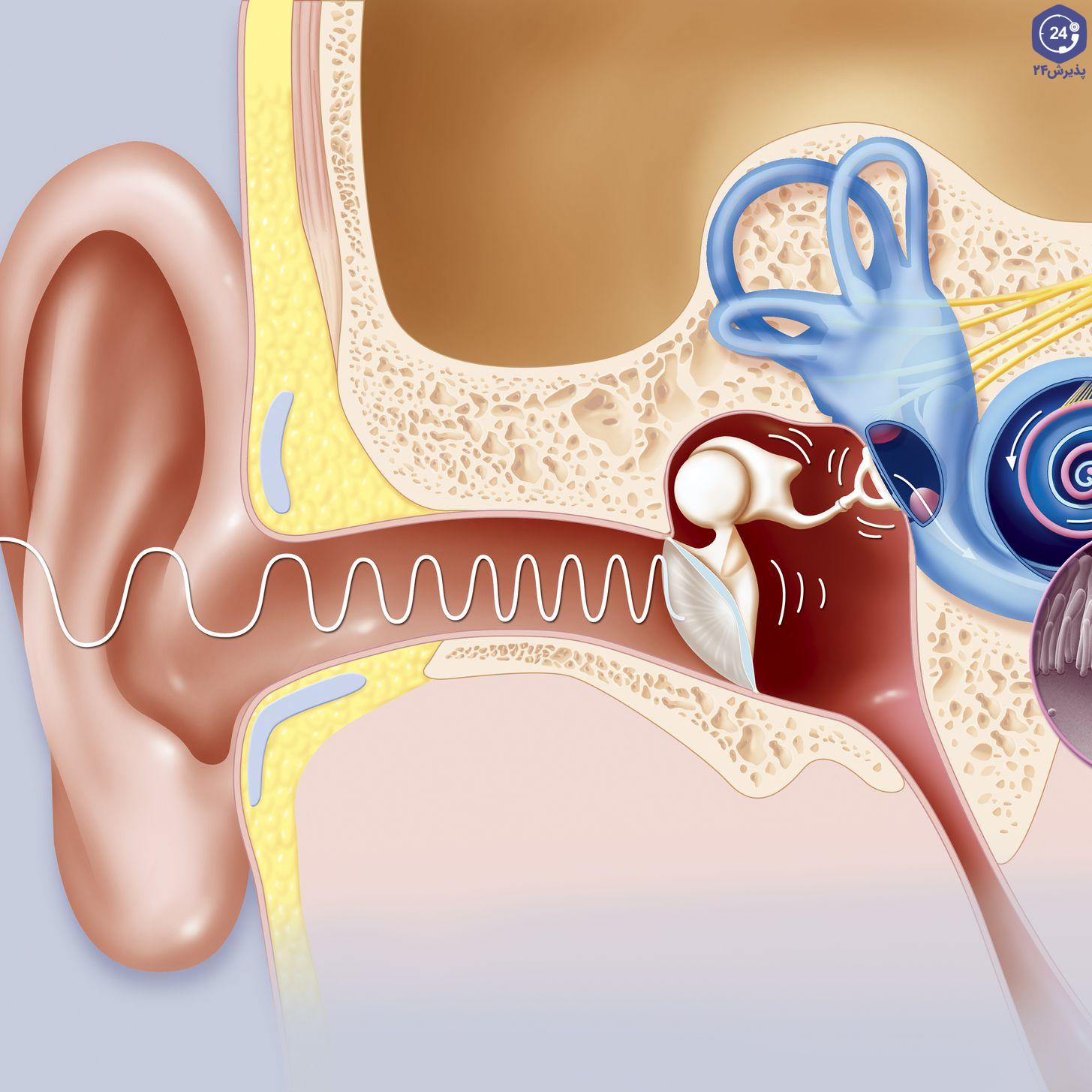 اختلال شیپور استاش گوش