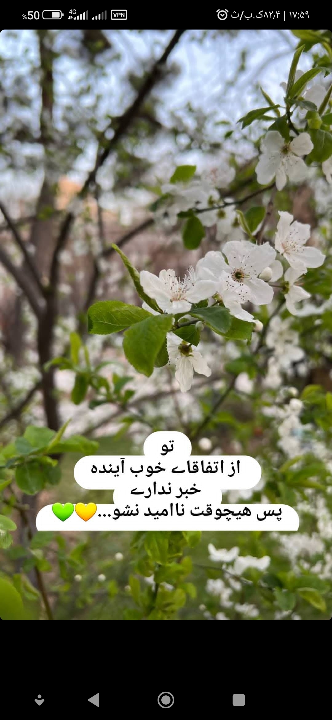 فیروزه