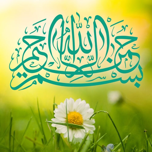 احمدرضا