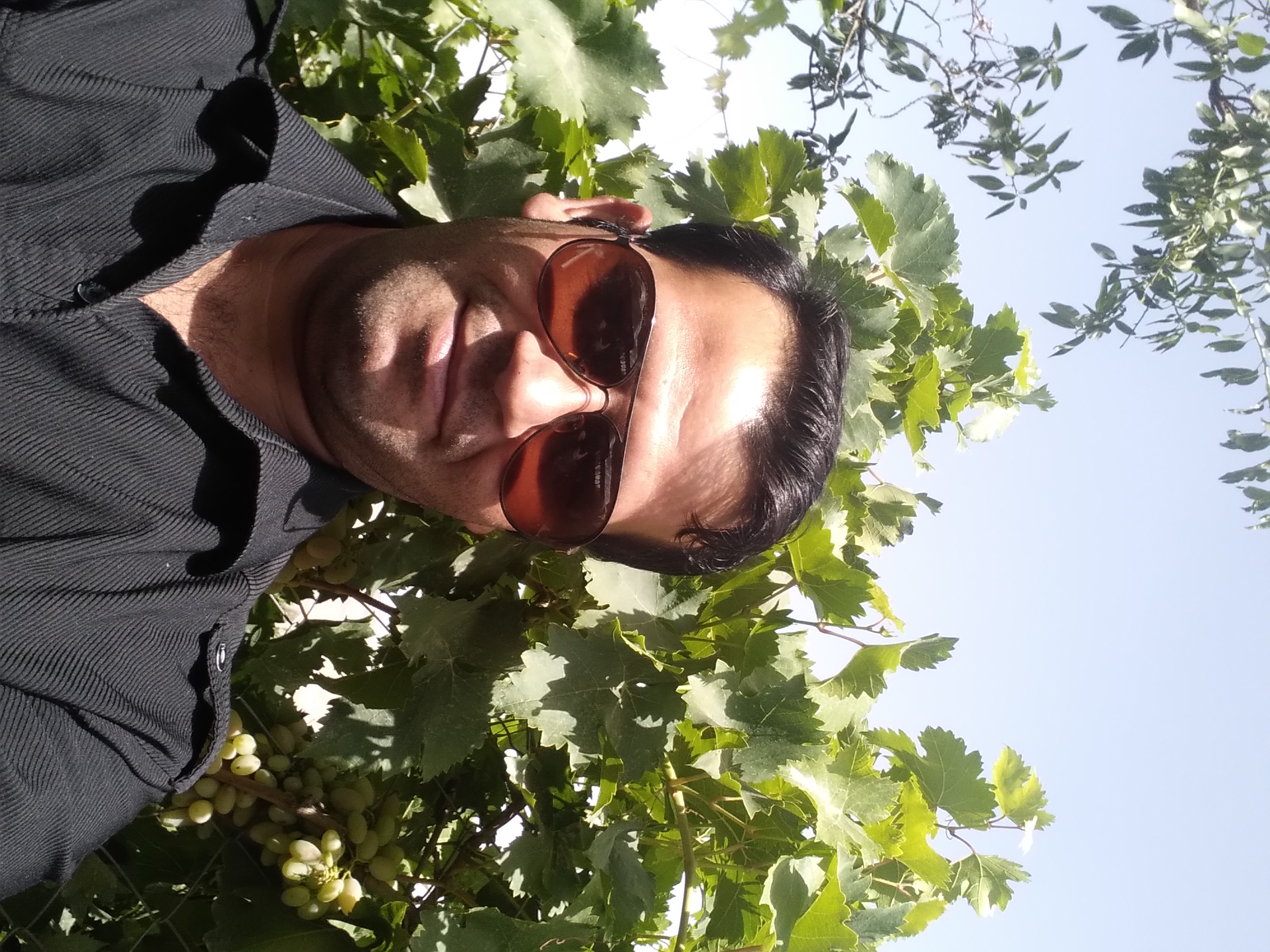 هادی