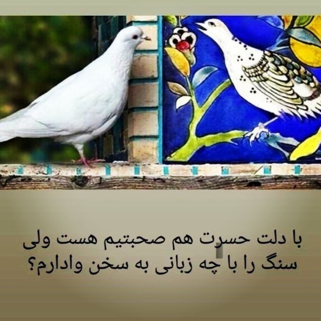 سیدعلی موسوی ساداتی