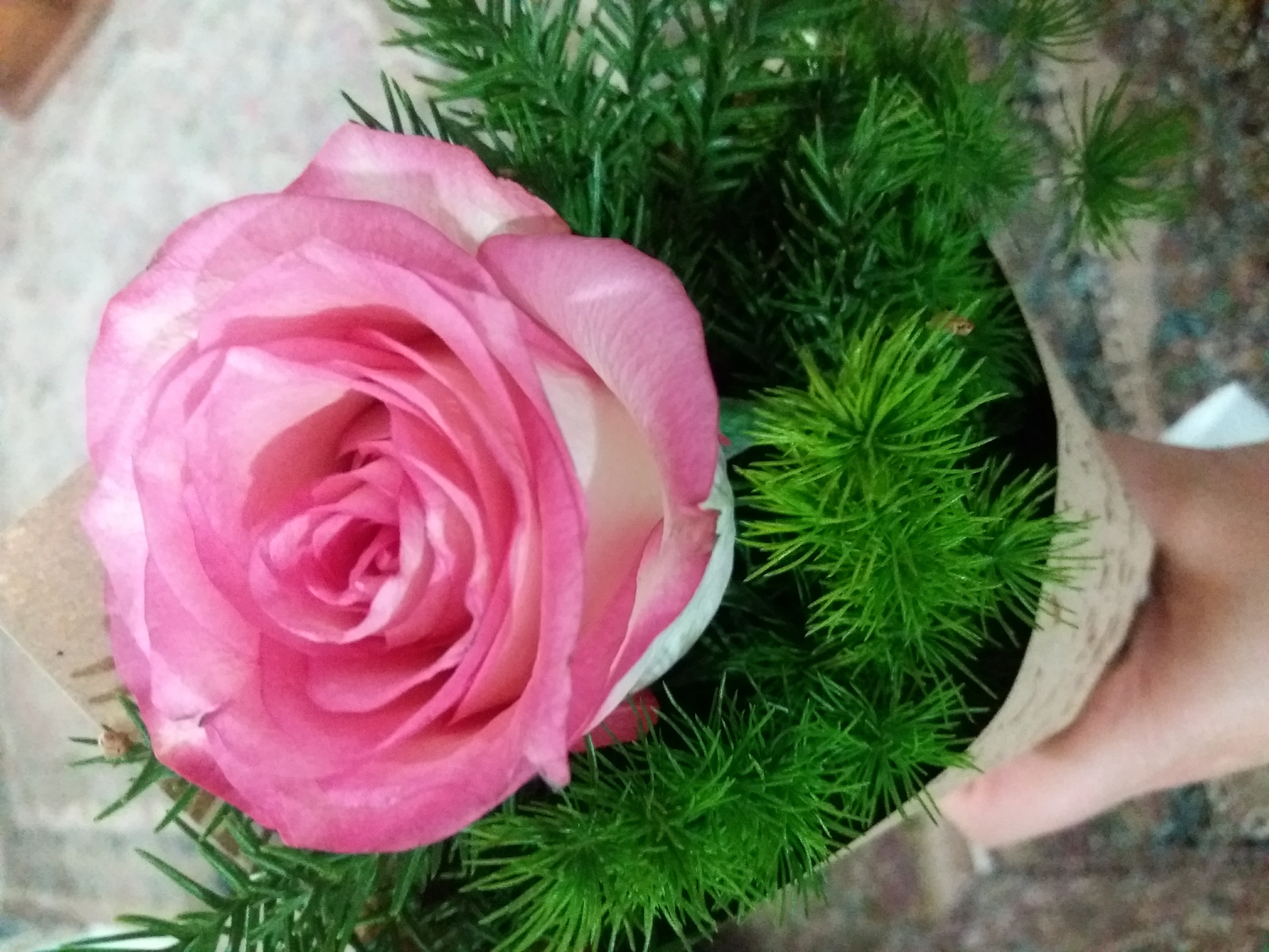 فاطمه