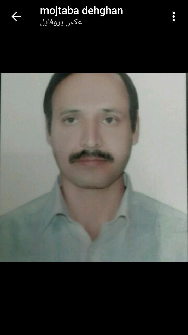مجتبی