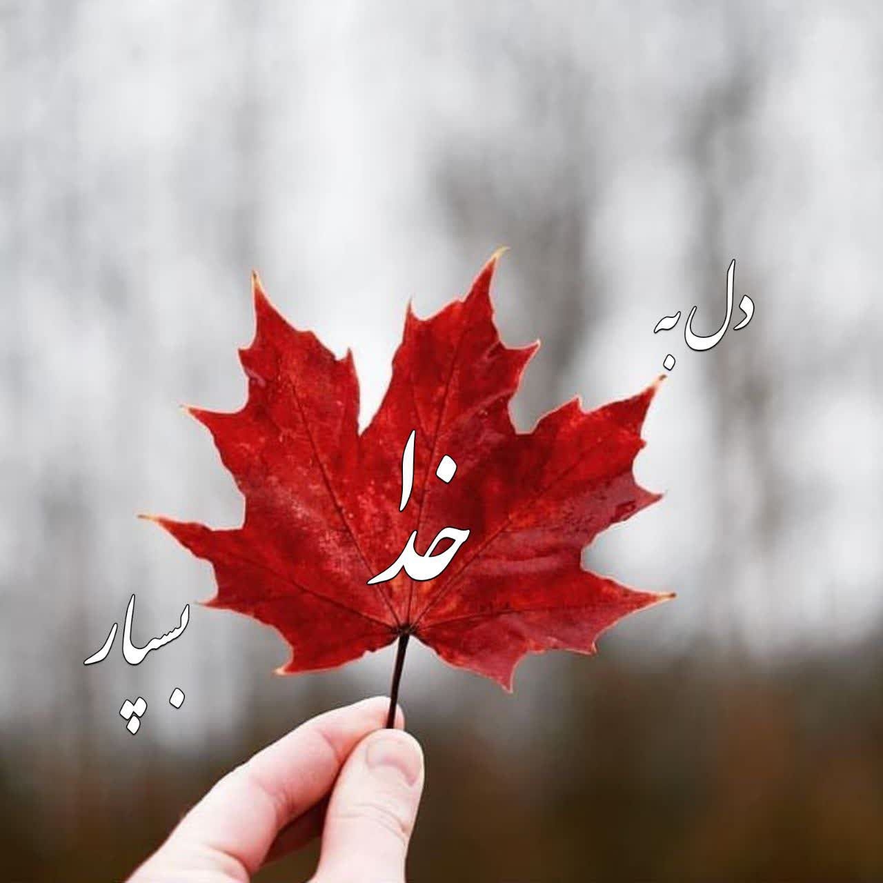 اسماء