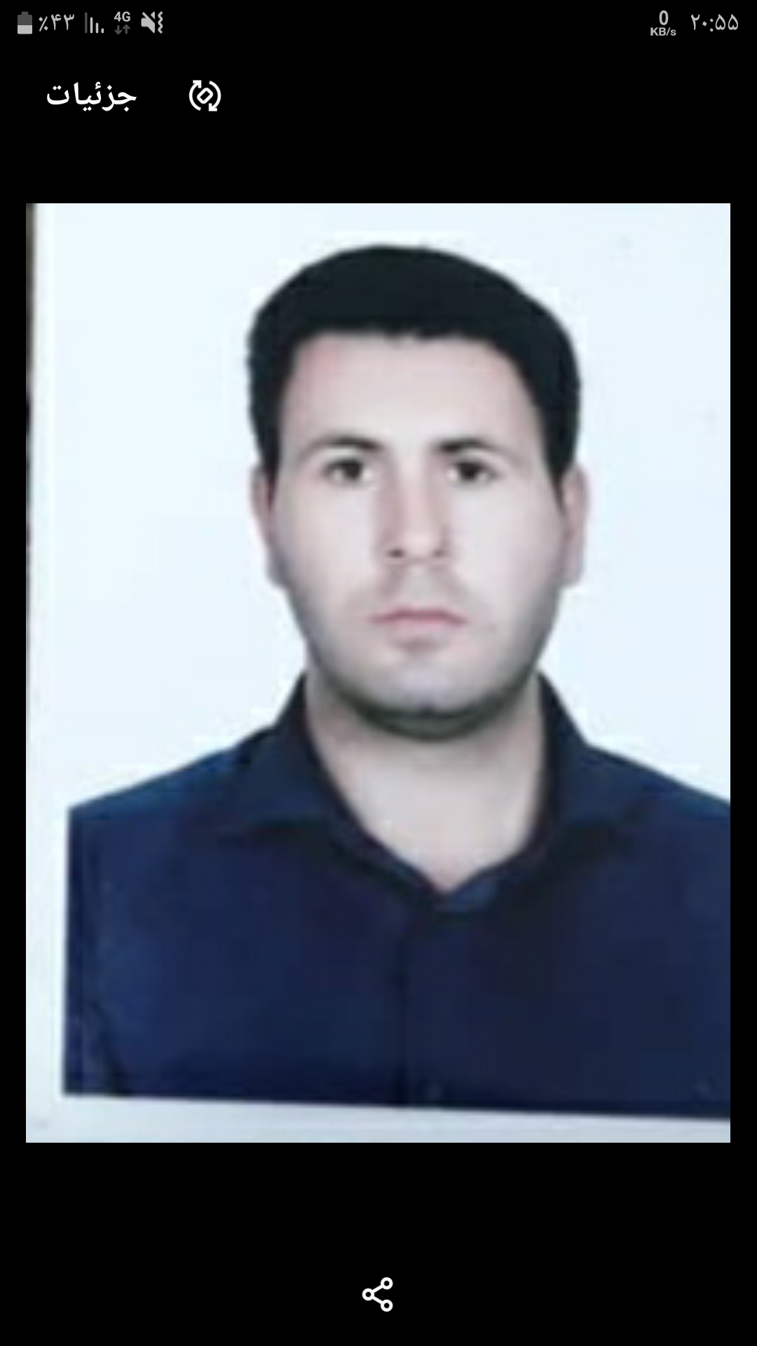 سید مجتبی