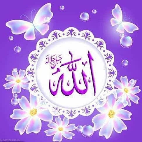 صالح محمد