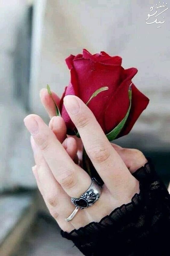 نازنین