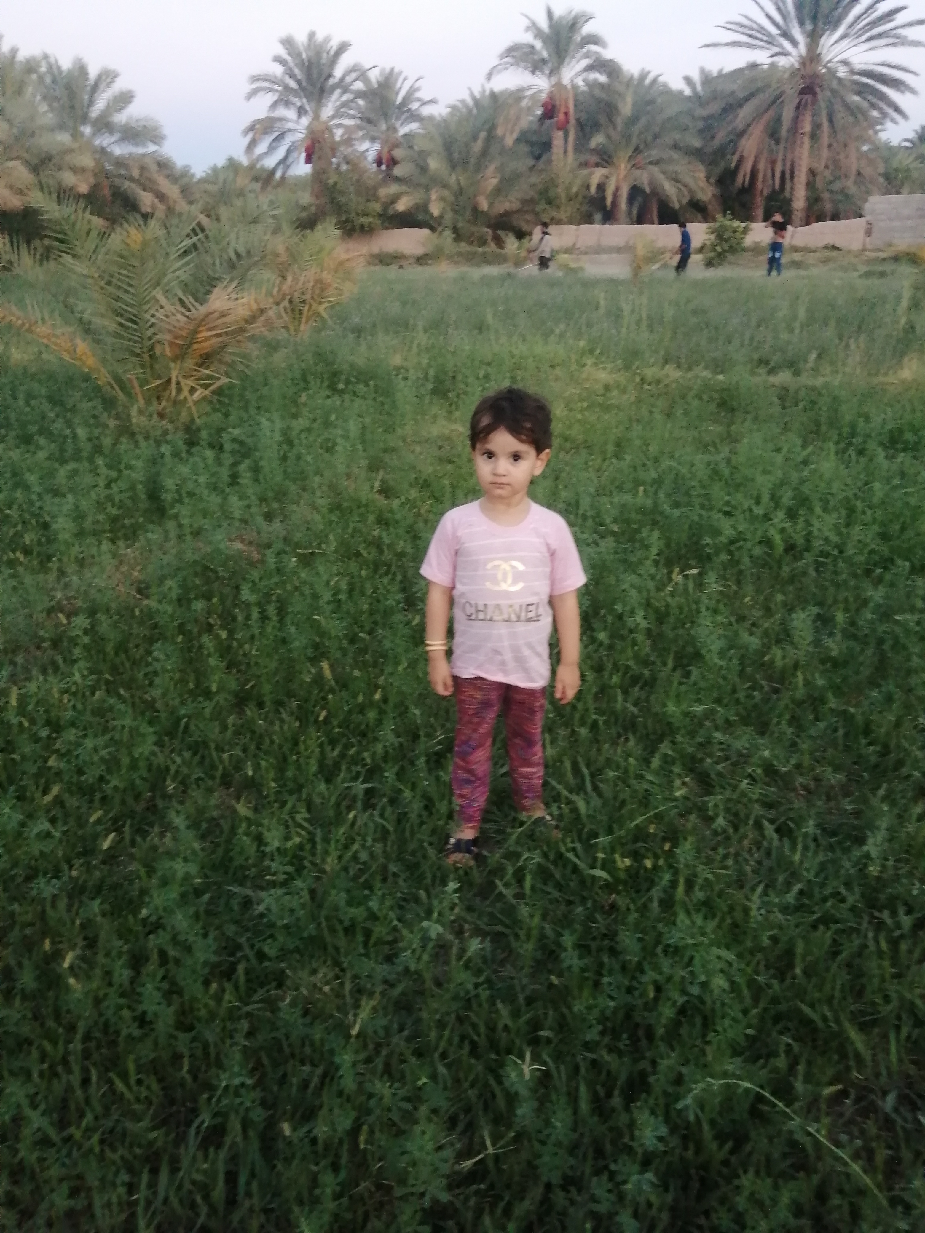 مهدیه