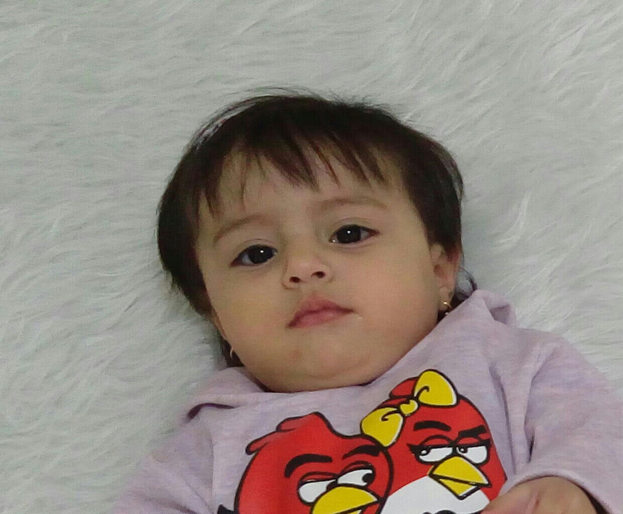 فرنیا