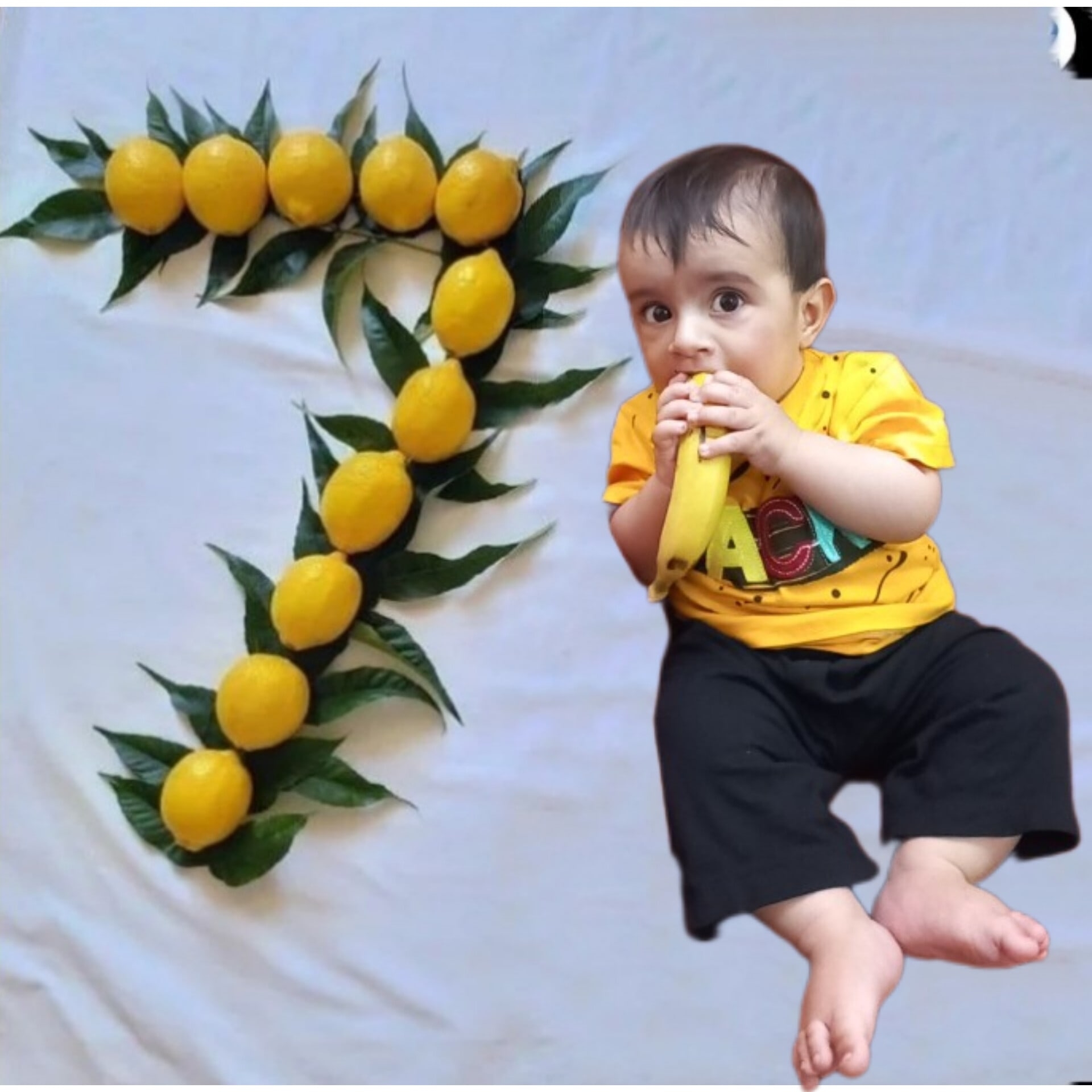 نازبس