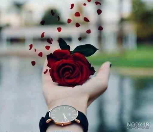 سعیده