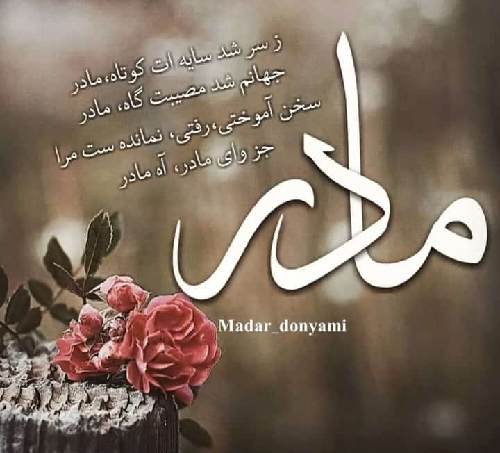 خانم