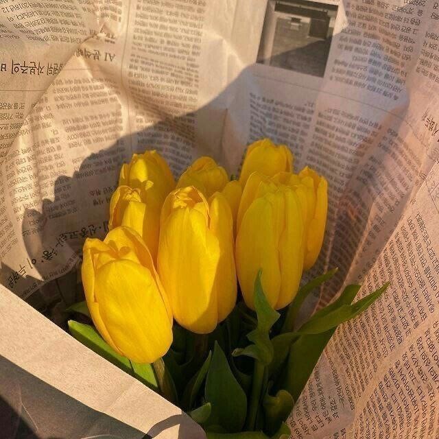 فائزه