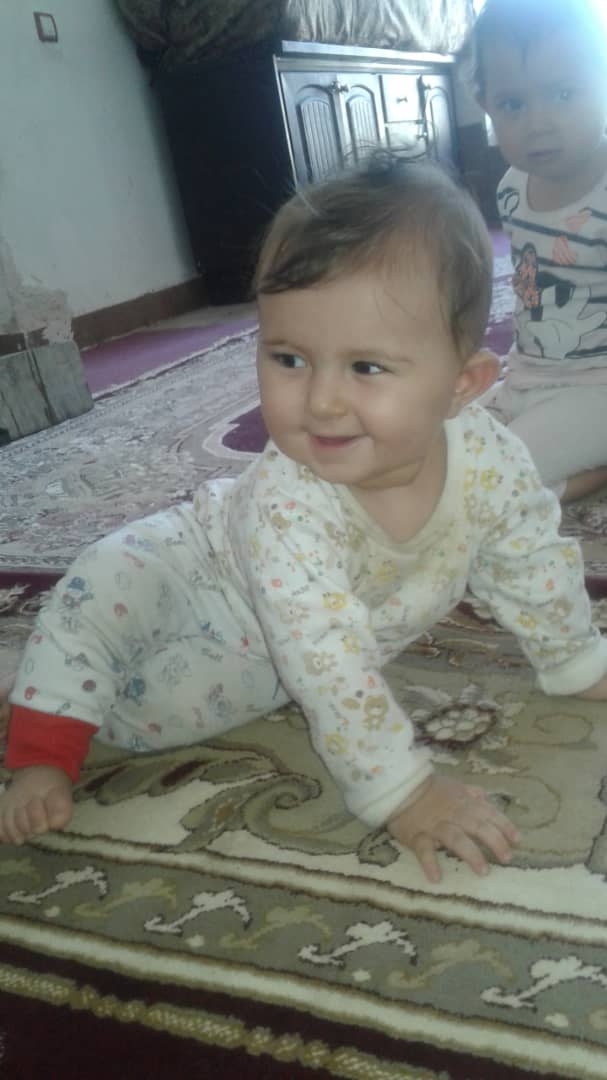 حبیب