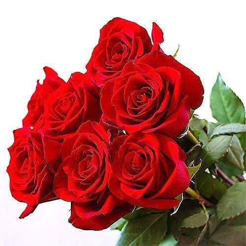 زهراسادات