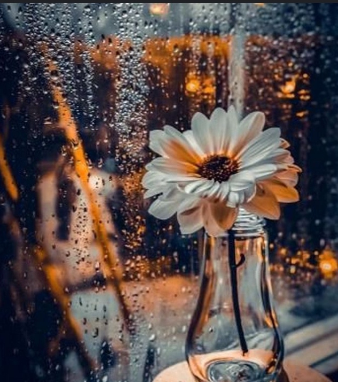 فاطمه
